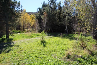 Enlarge photo 56