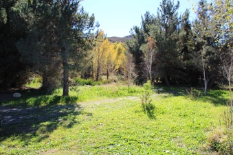 Enlarge photo 57