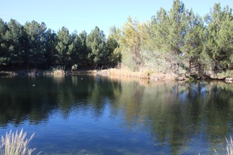 Enlarge photo 53