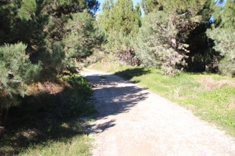 Enlarge photo 55