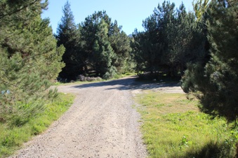 Enlarge photo 48