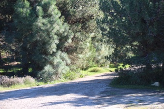 Enlarge photo 49