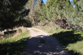 Enlarge photo 50