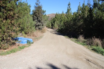 Enlarge photo 51