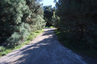 Enlarge photo 44