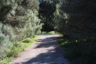 Enlarge photo 45
