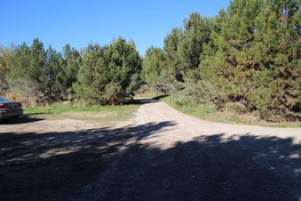 Enlarge photo 46
