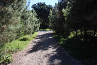 Enlarge photo 47