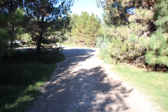 Enlarge photo 40