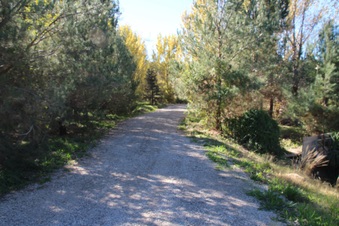 Enlarge photo 42