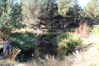Enlarge photo 43