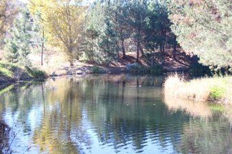 Enlarge photo 37