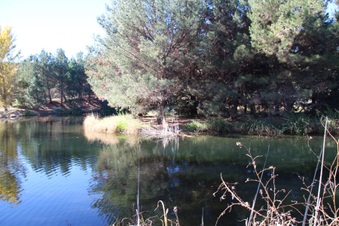 Enlarge photo 38