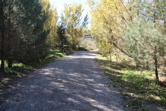 Enlarge photo 39