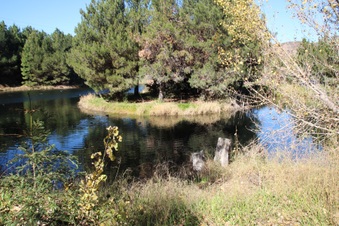 Enlarge photo 33