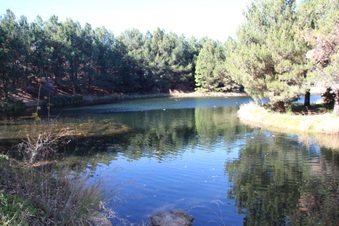 Enlarge photo 34