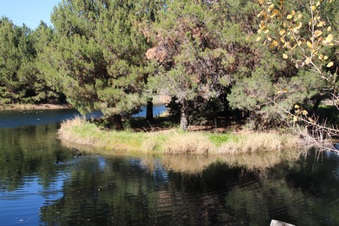 Enlarge photo 35