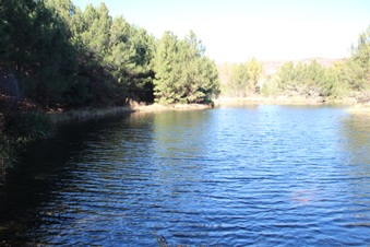 Enlarge photo 29