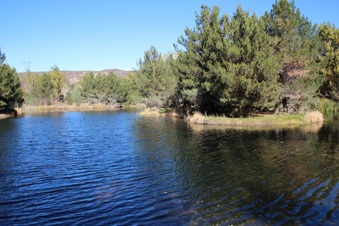 Enlarge photo 30