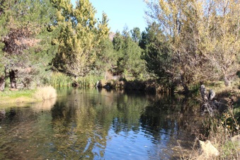 Enlarge photo 31