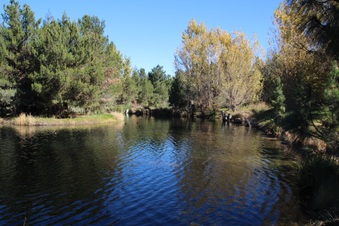 Enlarge photo 32