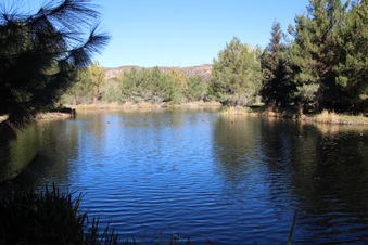 Enlarge photo 25