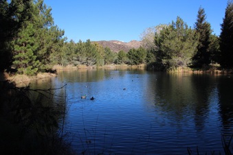 Enlarge photo 26