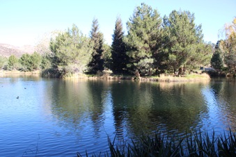 Enlarge photo 27