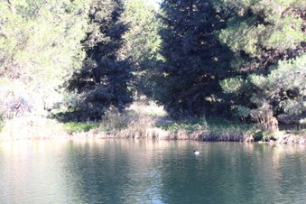 Enlarge photo 28
