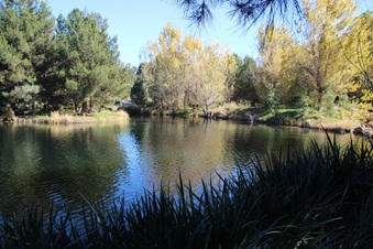 Enlarge photo 21