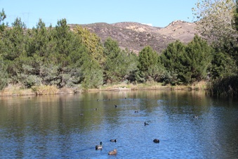 Enlarge photo 22