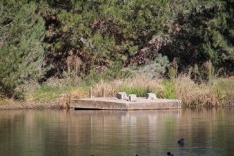 Enlarge photo 23