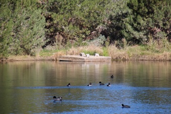 Enlarge photo 24