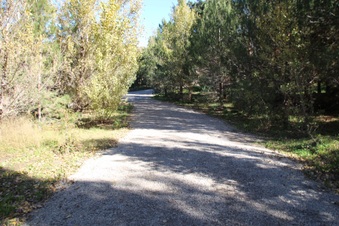 Enlarge photo 17