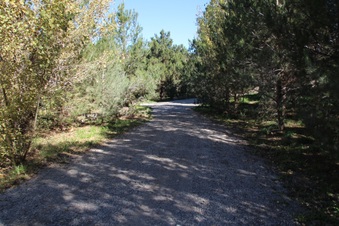 Enlarge photo 18