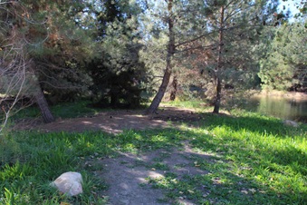 Enlarge photo 19
