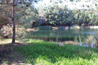 Enlarge photo 20