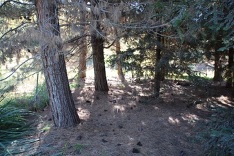 Enlarge photo 14