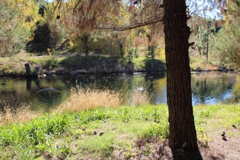 Enlarge photo 15