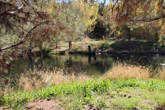 Enlarge photo 16