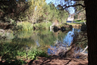 Enlarge photo 10