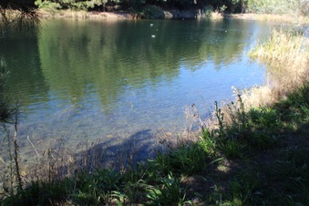 Enlarge photo 11