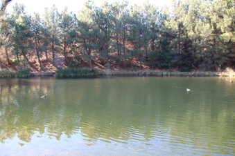 Enlarge photo 12