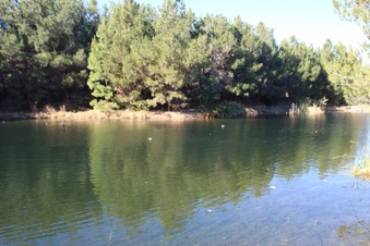 Enlarge photo 13
