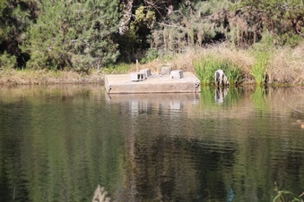 Enlarge photo 6