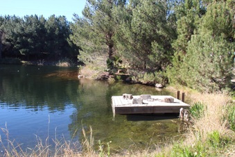 Enlarge photo 9