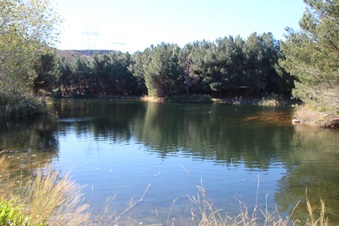 Enlarge photo 4