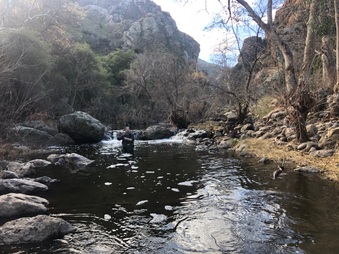 Enlarge photo 6