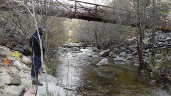 Enlarge photo 6