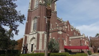 Enlarge photo 8
